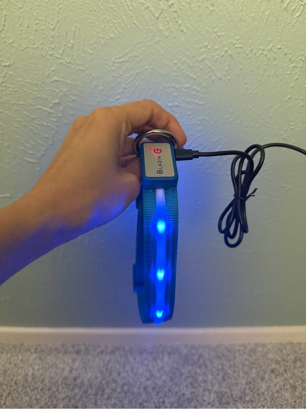 LED Blue Light Dog Collar bundle - Picture 1 of 10